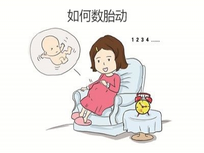 胎兒好不好，胎動(dòng)全知道，數(shù)胎動(dòng)的重要性